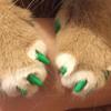 Alasum Silicone Cat Claw Caps, Green, 40 Pieces view 3