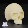 Silicone Skull Practice Model for Tattooing and Makeup view 4