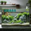 Floating Spawning Mop, 10 Pack for Betta Fish view 3