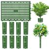 Lapiglo Plastic Tree Trunk Guards, Adjustable Plant Protection Collars, 30 x 20 cm, Green, 8-Pack view 2