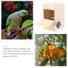 Abaodam Wooden Nest Box for Budgies and Parrots, Round Bird Nest, Khaki, Random Color view 3
