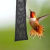 Hanging Bird Feeder Mesh Bags, 6 Nylon Bags for the Garden view 4