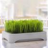EffiFish Cat Grass Growing Tray with Grid Cover view 2