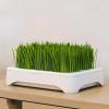 EffiFish Cat Grass Growing Tray with Grid Cover view 3