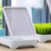 EffiFish Cat Grass Growing Tray with Grid Cover view 4