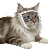 Cat Muzzle for Biting - Soft & Breathable view 1