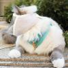 Cat Muzzle for Biting - Soft & Breathable view 3