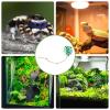 Accessories for Jumping Spider Terrariums view 4