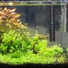 TOYANDONA Aquarium Temperature Stickers view 4