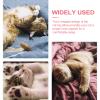 RUNROTOO U-Shaped Cat Neck Pillow, Soft Decorative Pet Pillow view 3