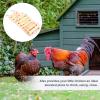 GALPADA Chicken Coop Swing and Climbing Ladder Bird Stand for Chickens, Chicks, and Parrots view 4