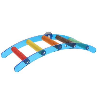 Blue Acrylic Arch Ladder for Parrots and Birds