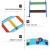 Blue Acrylic Arch Ladder for Parrots and Birds view 3