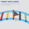 Blue Acrylic Arch Ladder for Parrots and Birds view 4