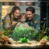 Artificial Coral Ornament for Aquariums view 3