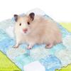 2-Pack Cooling Pads for Pets view 4