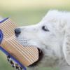 Topiky Adjustable Dog Training Bite Protection Arm Guard for German Shepherds and Mastiffs view 3