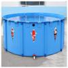 Collapsible Canvas Fish Pond, 3 x 0.8 m, Above-Ground Pool for Koi, Pets, Children, and Outdoor Storage view 1