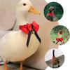 HYTROVE Christmas Pet Collar for Birds with Red Bow view 4