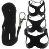 DECHOUS Adjustable Leash for Small Pets view 1