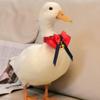 Toyvian Stylish Pet Collar for Daily Use and Special Occasions view 4