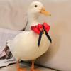 Healifty Adjustable Pet Bird Collar with Red Fabric and Metal view 4