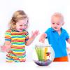 GATHINESS Round Transparent PET Fish Bowl for Betta Fish and Plants view 4