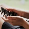 Detangling Brush with Ergonomic Handle and Anti-Static Properties view 2