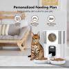 Topiky Automatic Cat Feeder for Two Cats view 3