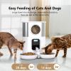 Topiky Automatic Cat Feeder for Two Cats view 4