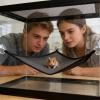 Lizard Hammock 2-Pack, Breathable Mesh Terrarium Toys view 2