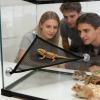 Lizard Hammock 2-Pack, Breathable Mesh Terrarium Toys view 3