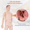 Life-Size Nursing Training Mannequin with CPR and Wound Modules view 3