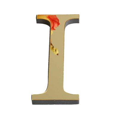 3D Acrylic Mirror Wall Letters