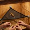 Lizard Hammock 2-Piece Set, Breathable Mesh Hiding Places for Reptiles view 3