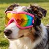 Windproof UV-Protective Dog Sunglasses view 3