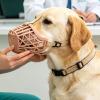 Breathable Dog Muzzle view 3