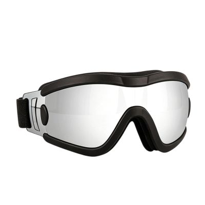 Windproof Outdoor Dog Sunglasses