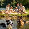 Windproof UV-Protective Dog Sunglasses for Outdoor Use view 2