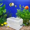 DIY Mesh Breeding Box for Aquariums view 2