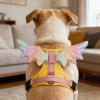3D Effect Cat Harness view 2