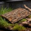 Happyyami Terrarium Cork Bark Reptile Decor, Hard Cork Bark view 4