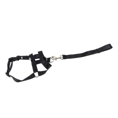 Adjustable Dog Muzzle Leash for Training