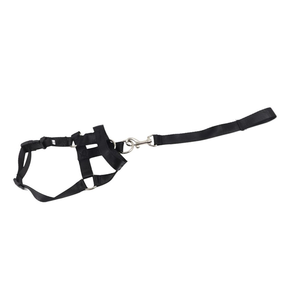 Adjustable Dog Muzzle Leash for Training