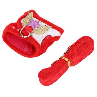 Smandy Small Animal Harness and Leash Set