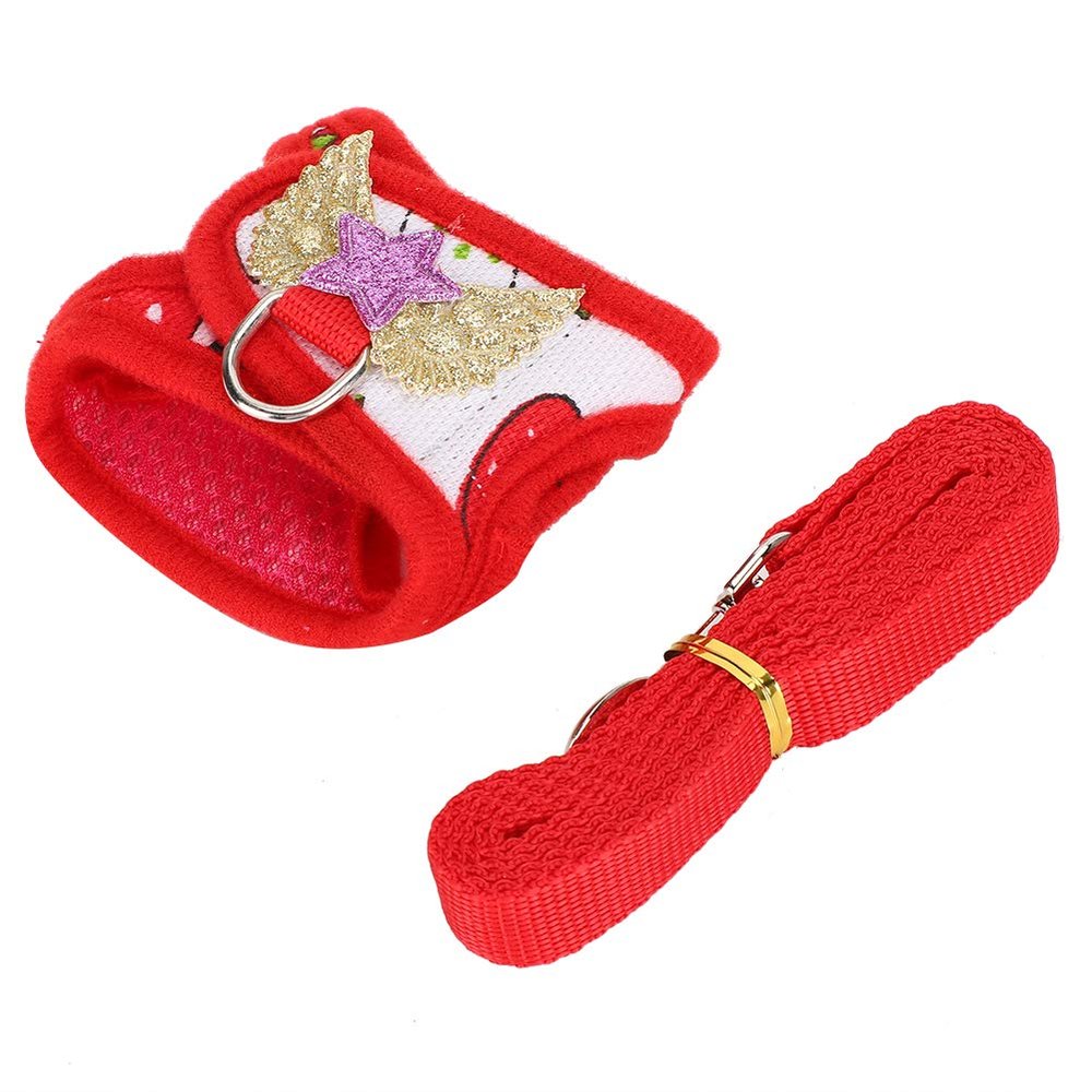 Smandy Small Animal Harness and Leash Set