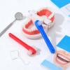 Garneck Double-Headed Denture Brushes, 2-Pack, Red and Blue view 4