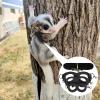 Traction Rope for Small Pets, 1.5m Portable Sugar Glider Harness Set view 2