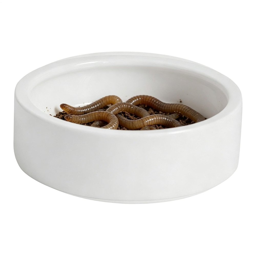 Genrico Ceramic Feeding Bowl for Reptiles