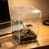Realistic Decorative Climbing Toy for Jumping Spiders view 3